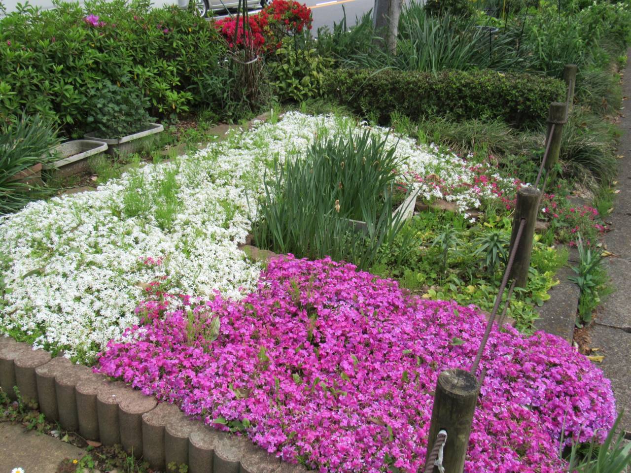 街に花と緑が！