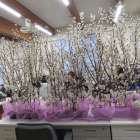 春の感謝祭に向けて準備万端